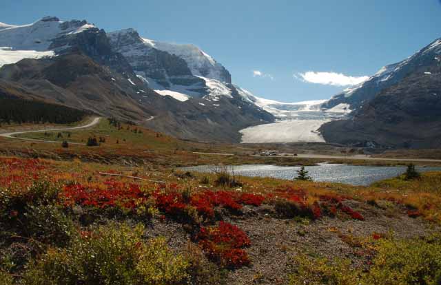 the Columbia Icefield